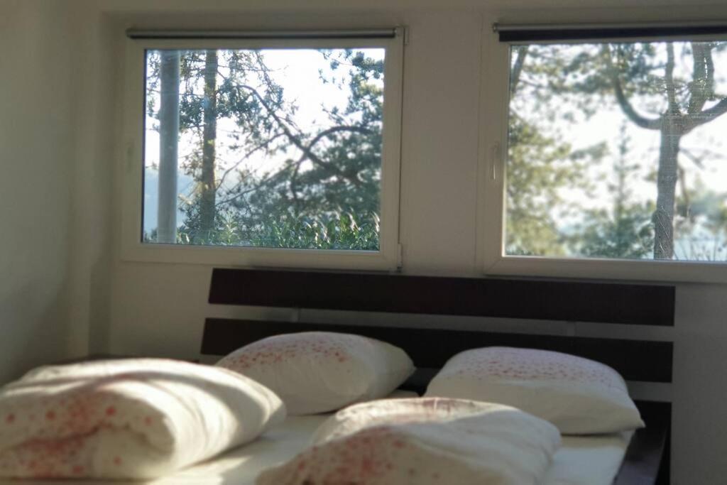 Haus Am Hang, Garden Dream Westerburg  Εξωτερικό φωτογραφία